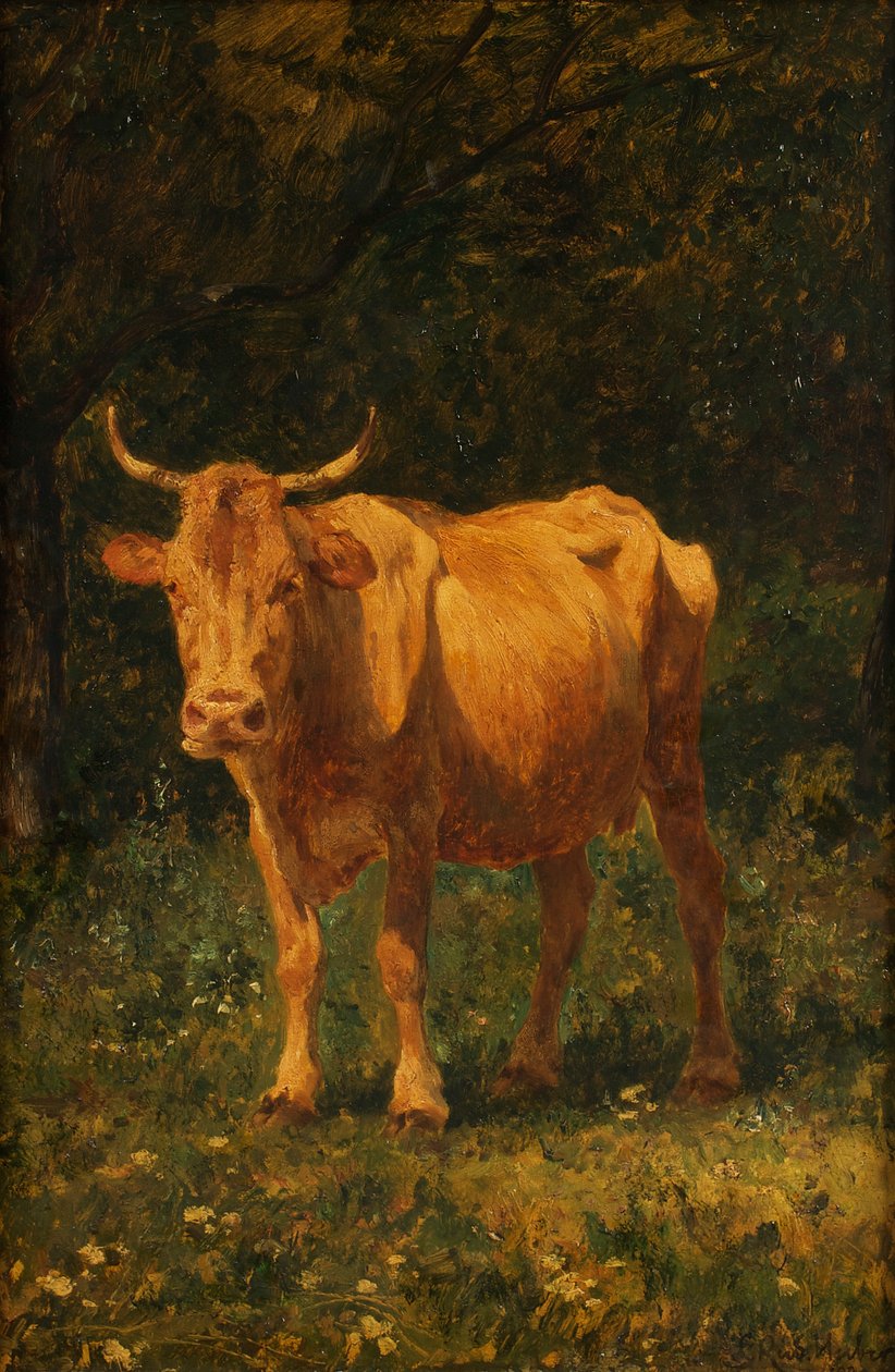 Semmelfarbene Kuh von Carl Rudolf Huber