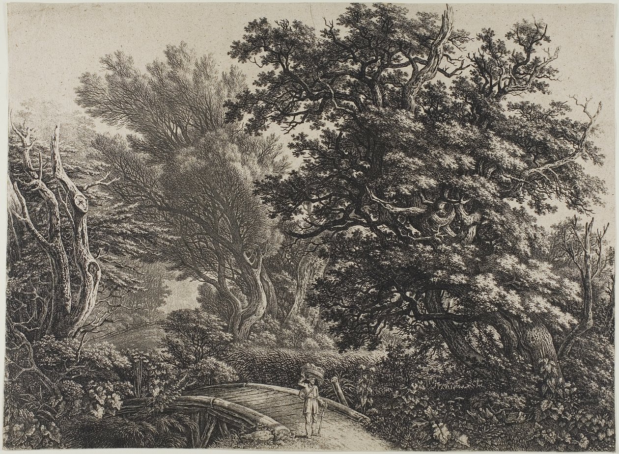 Rustikale Brücke in einem verworrenen Wald von Carl Wilhelm Kolbe, the elder
