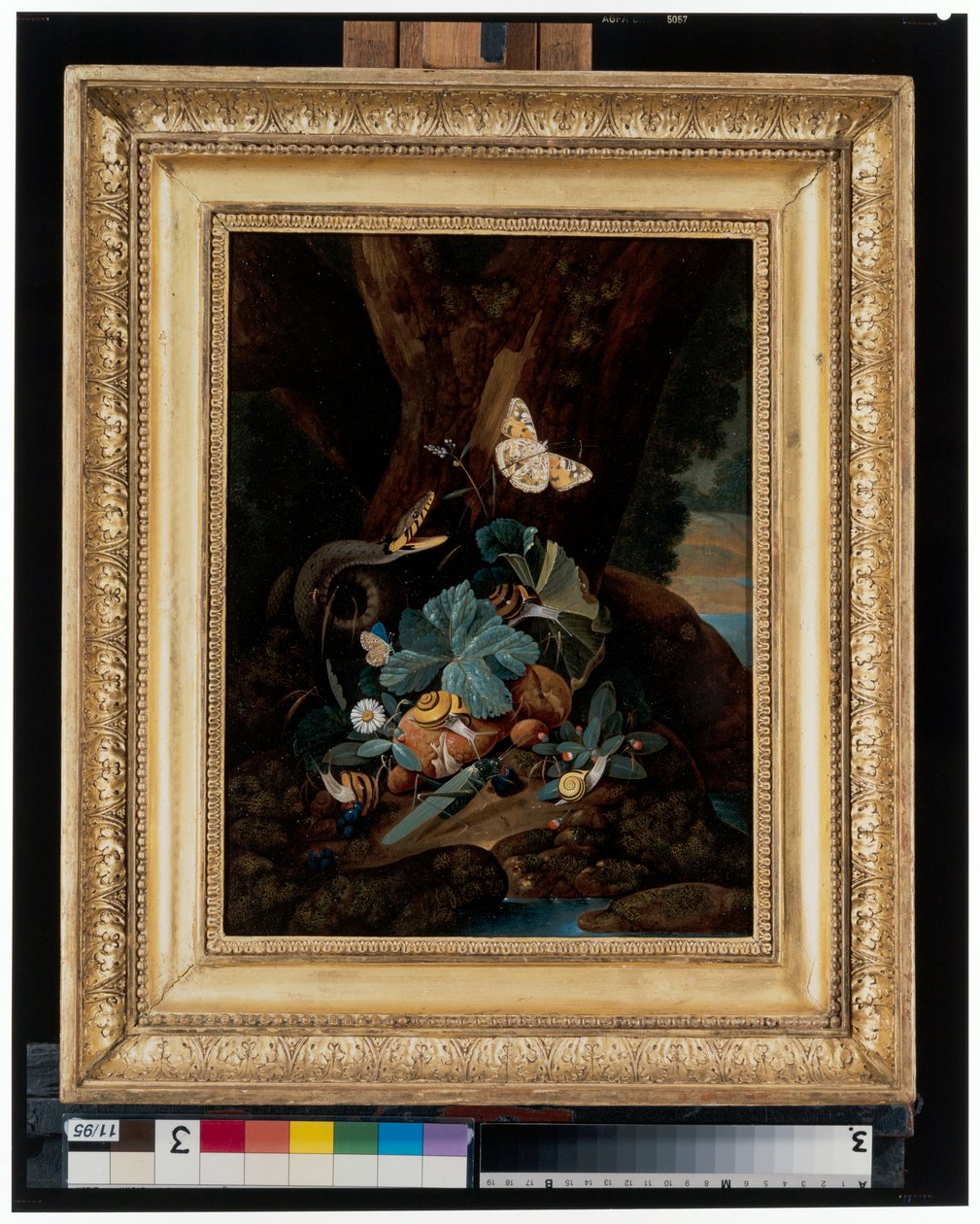Waldboden-Stillleben mit Schnecken, Schlangen, Eidechsen und Schmetterlingen von Carl Wilhelm de Hamilton