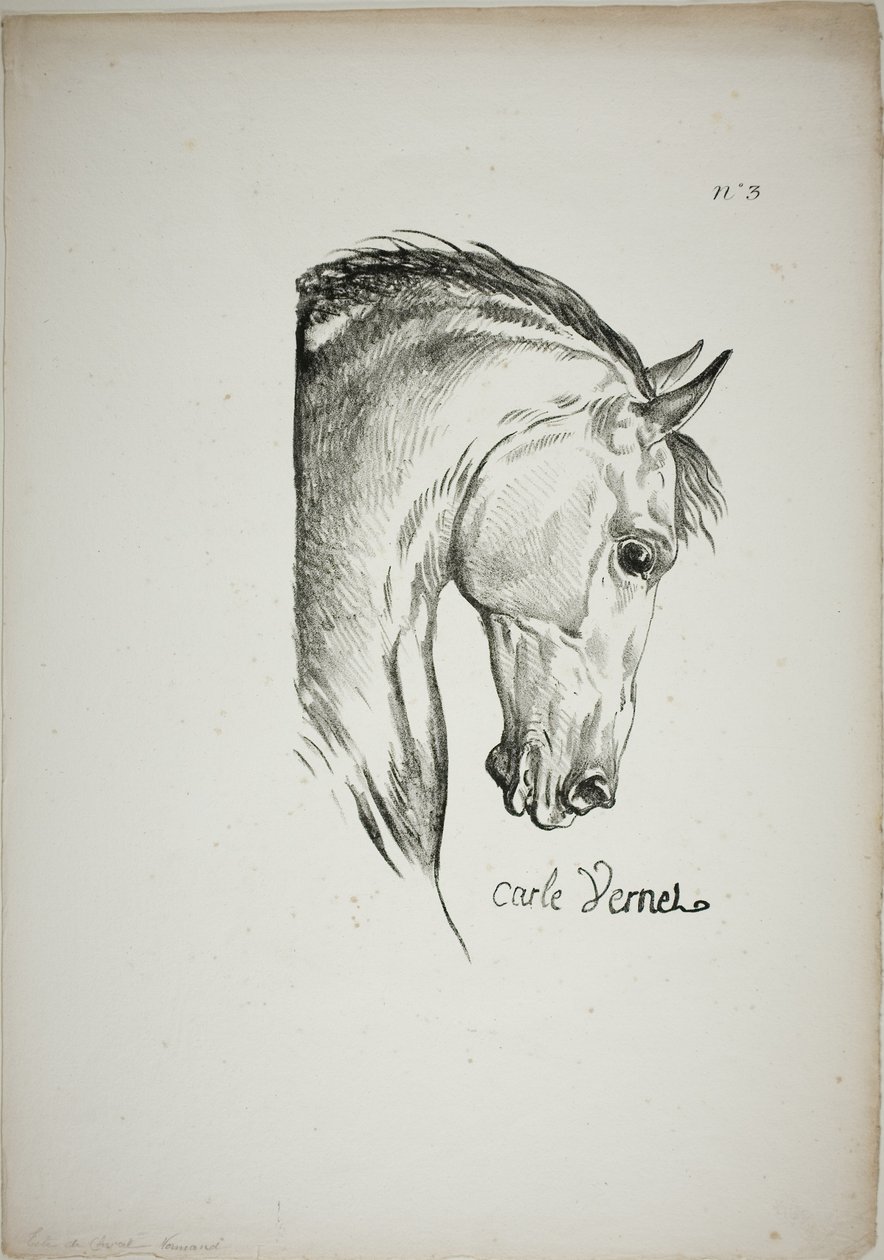 Pferdekopf (Detail), vergrößert auf dreifache Größe, Normannische Königswache, Nr. 3 von Carle Vernet