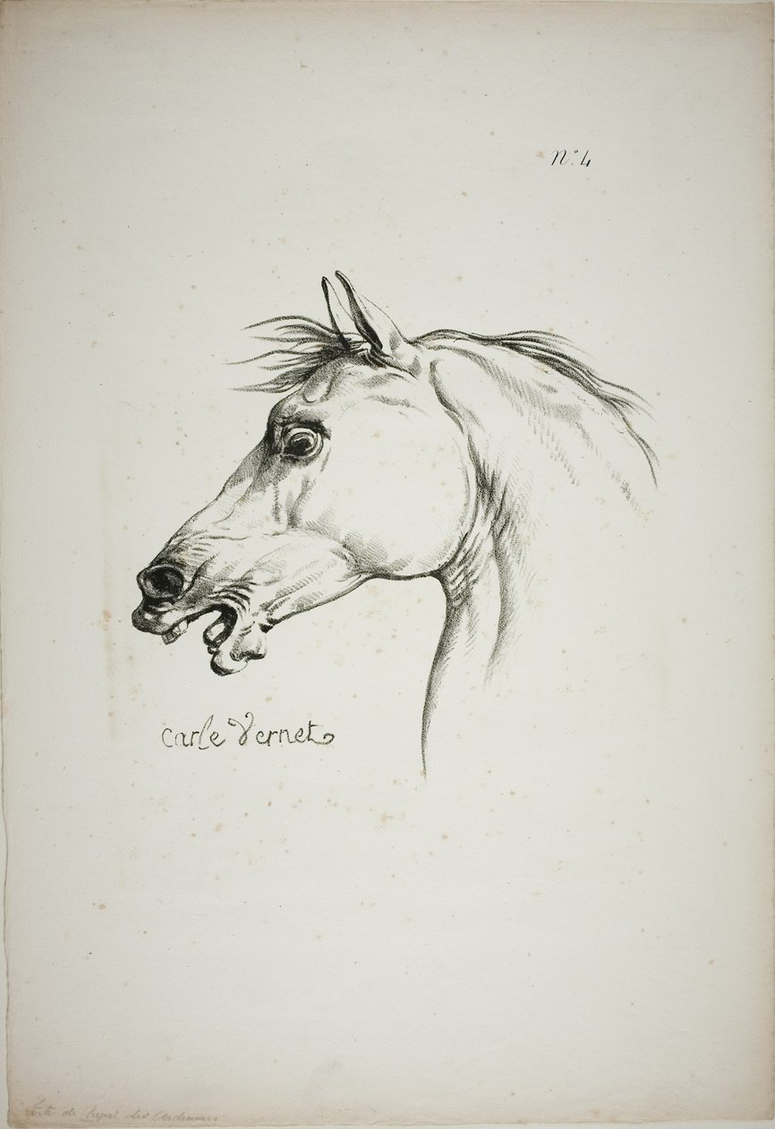(Detail) Pferdekopf, vergrößert auf dreifache Größe, Normannische Königswache, Nr. 4 von Carle Vernet