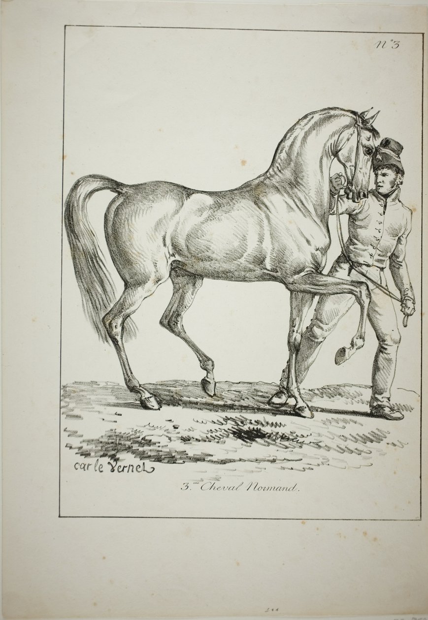 Königliche Garde, normannischer Kavalier, nicht in voller Montur, und Pferd, Nr. 3 von Carle Vernet