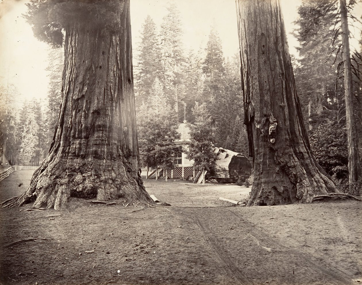 Die Wachen, 315 Fuß, Yosemite von Carleton Emmons Watkins