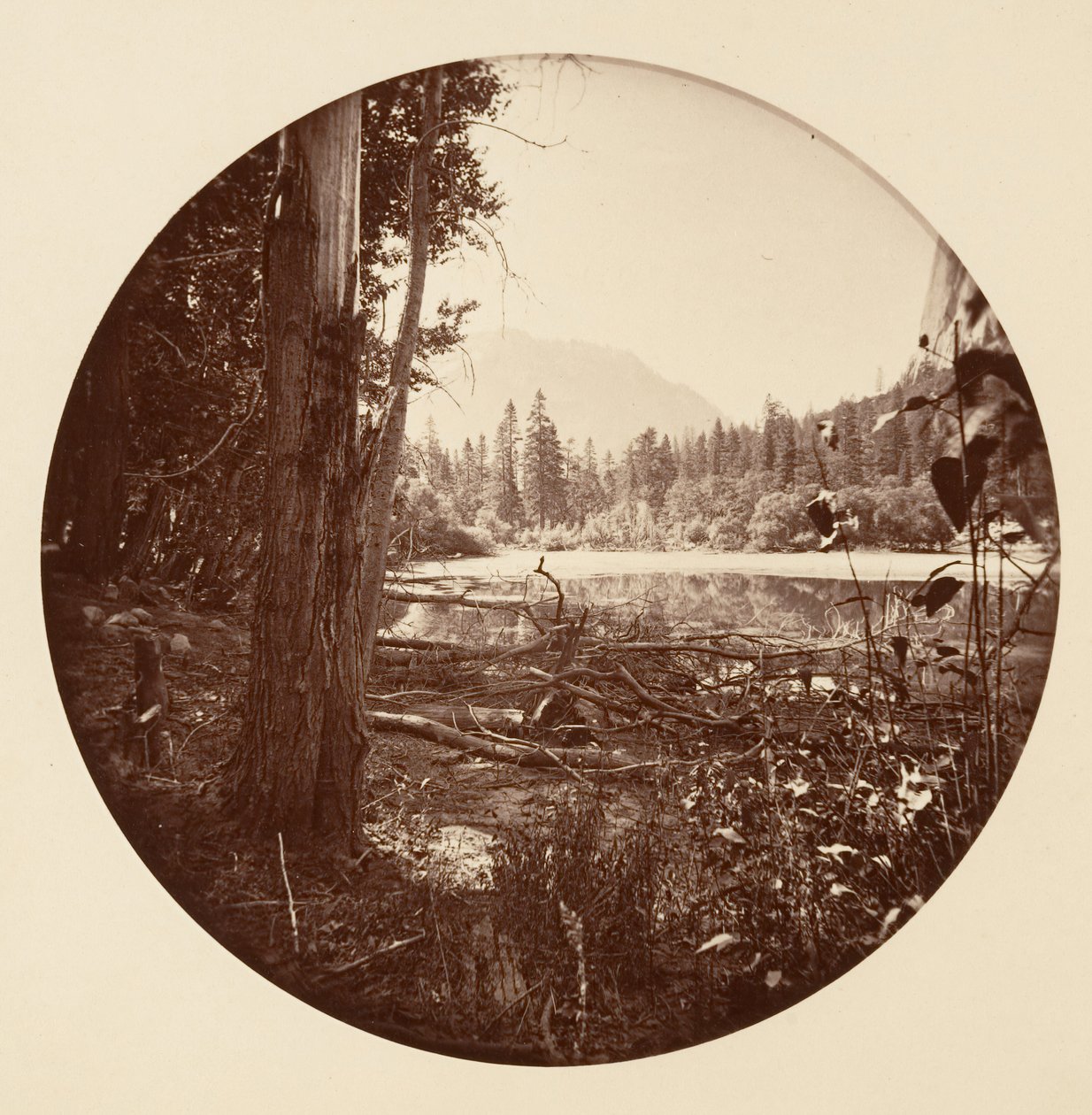 [Yosemite-Nationalpark, Kalifornien] von Carleton Emmons Watkins