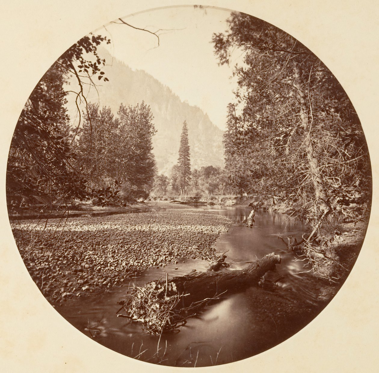 [Yosemite-Nationalpark, Kalifornien] von Carleton Emmons Watkins