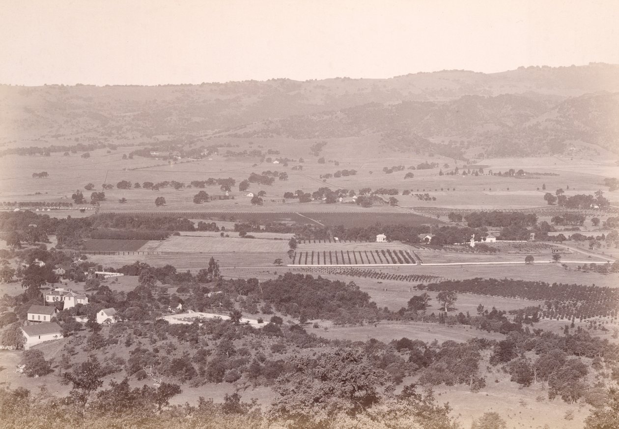 Calistoga, CA? von Carleton Watkins