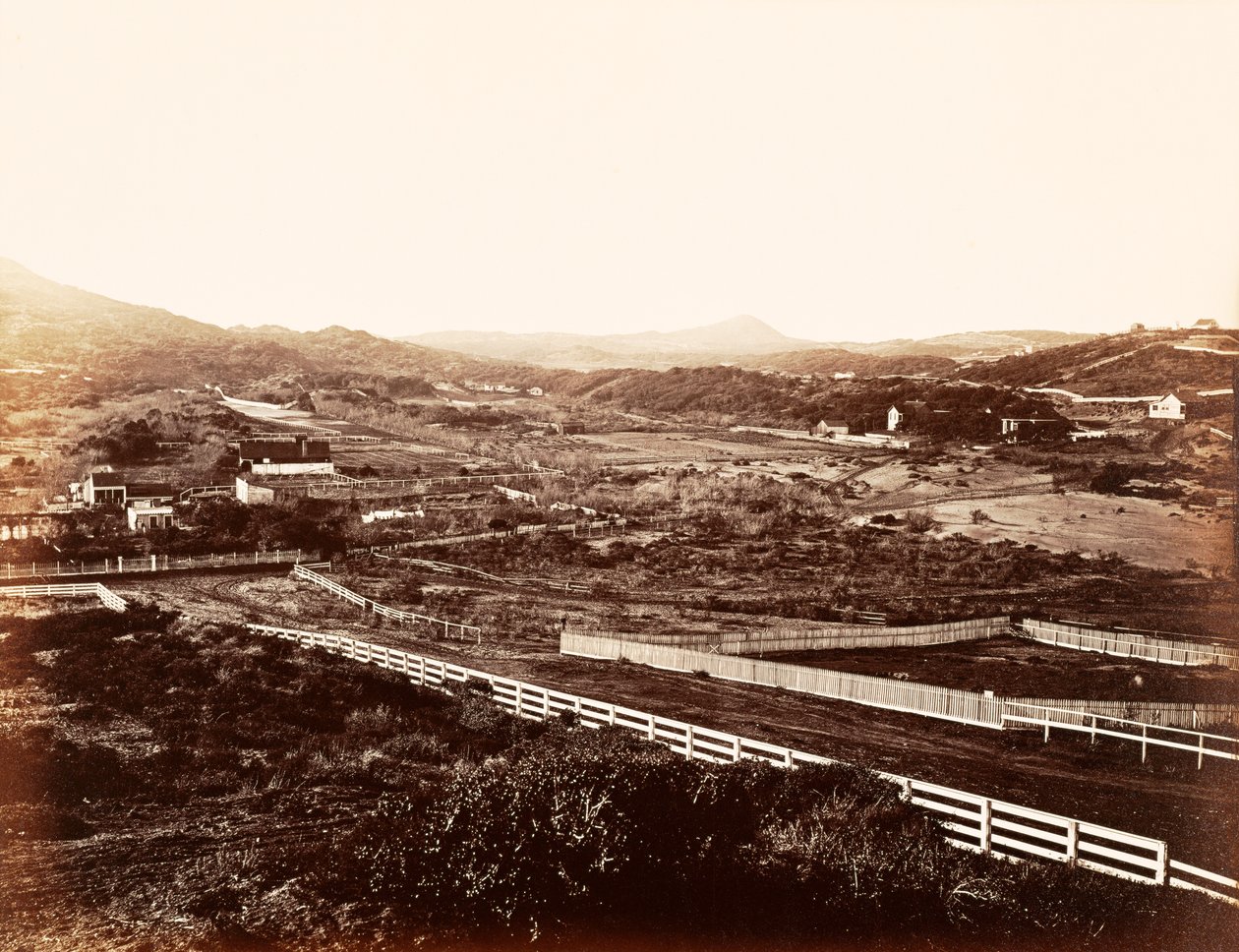 Lone Mountain, vom Waisenhaus aus von Carleton Watkins