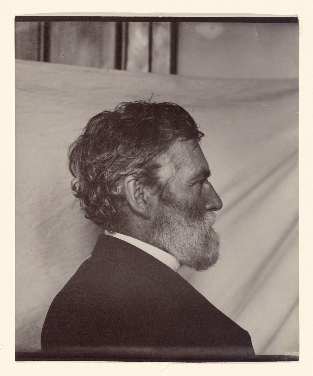 Porträt von George Davidson von Carleton Watkins
