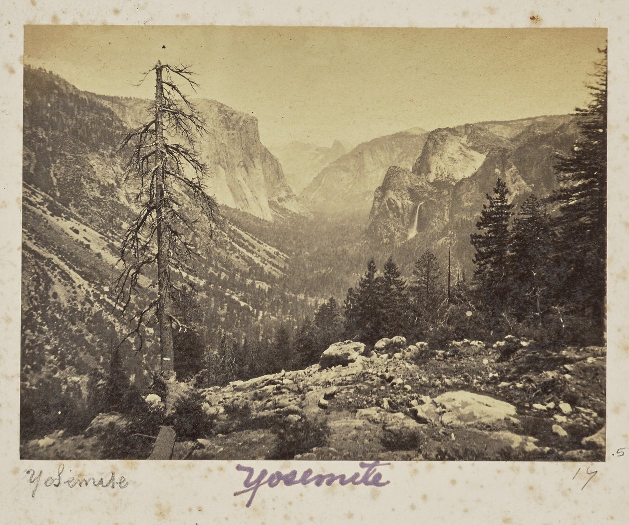 Das Yosemite-Tal, vom Mariposa-Pfad, Yosemite-Tal, Mariposa County, Kalifornien (Nr. 1138) von Carleton Watkins