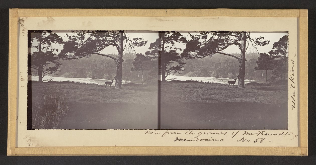 Blick vom Grundstück von Herrn Freundt, Mendocino von Carleton Watkins