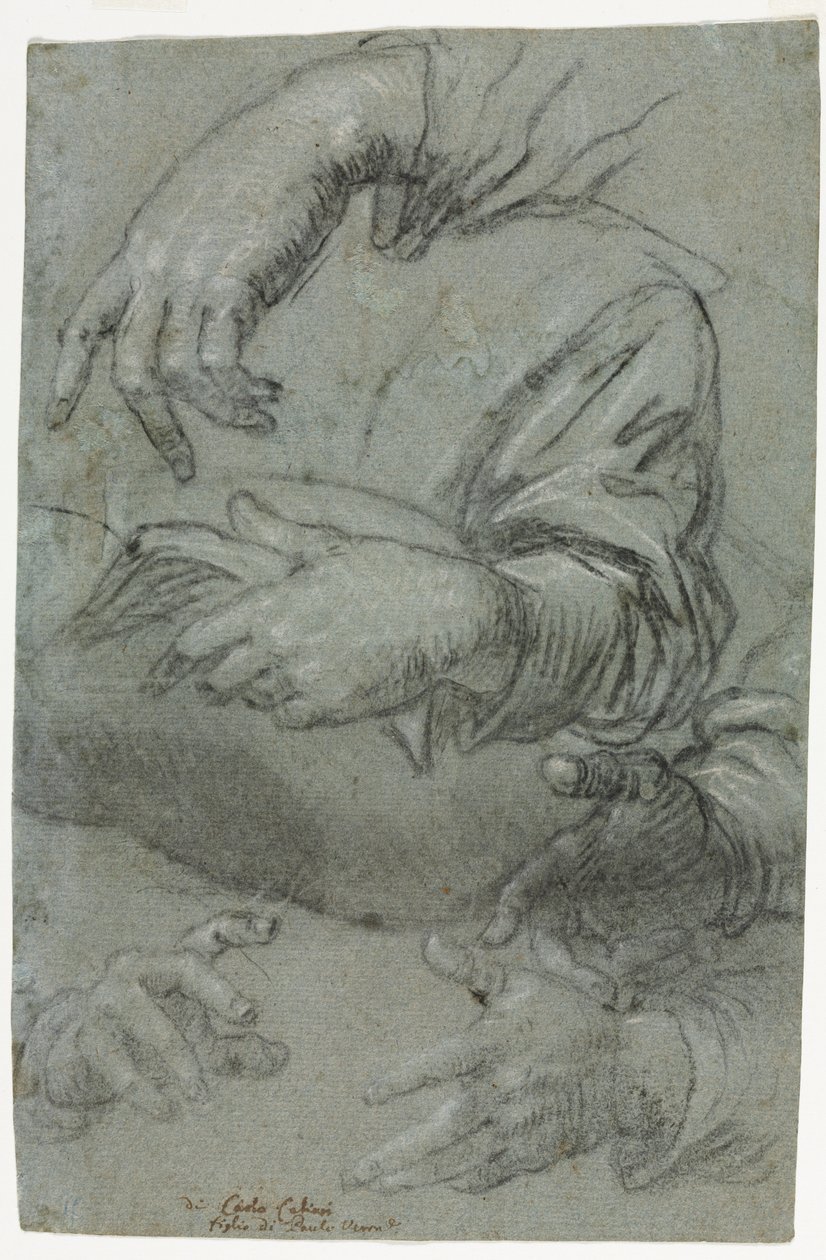 Studien von Händen, ca. 1586 von Carletto Caliari