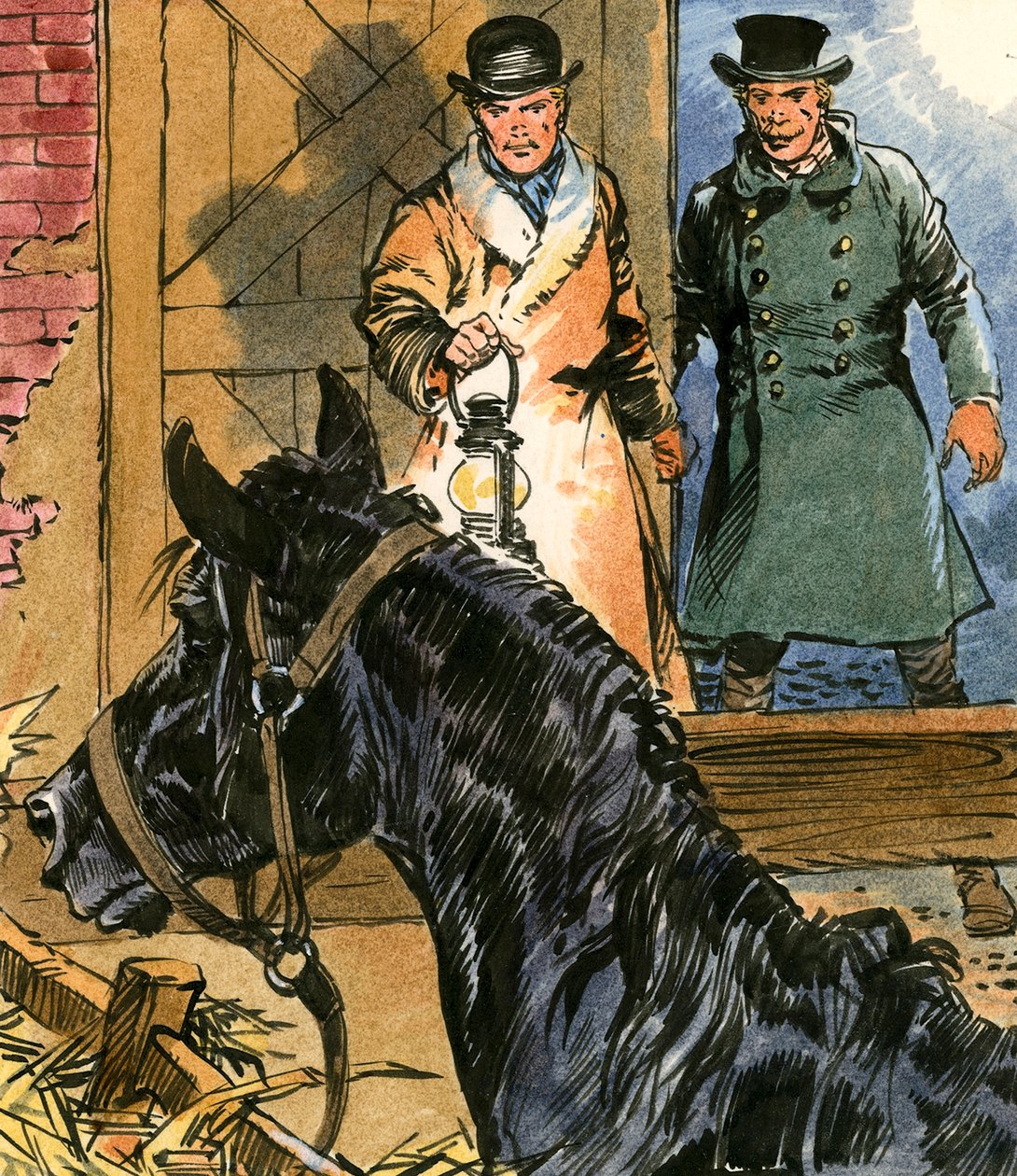 Black Beauty von Carlos Gabriel Roume