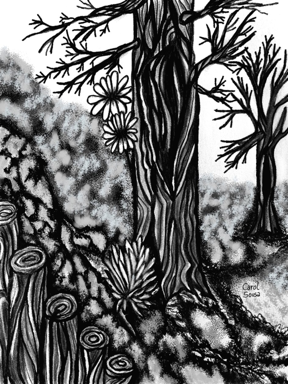 Digitale Kohlezeichnung 1 von Carol Sousa Cuello