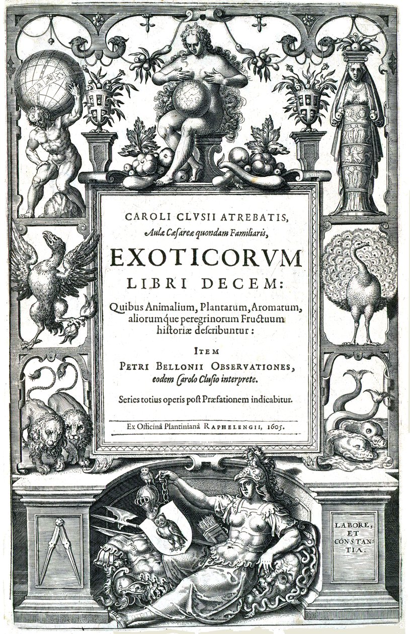 Exoticorum libri decem von Carolus Clusius