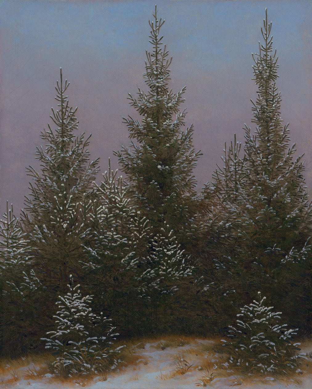 Fichtendickicht im Schnee (Aus der Dresdner Heide I) von Caspar David Friedrich