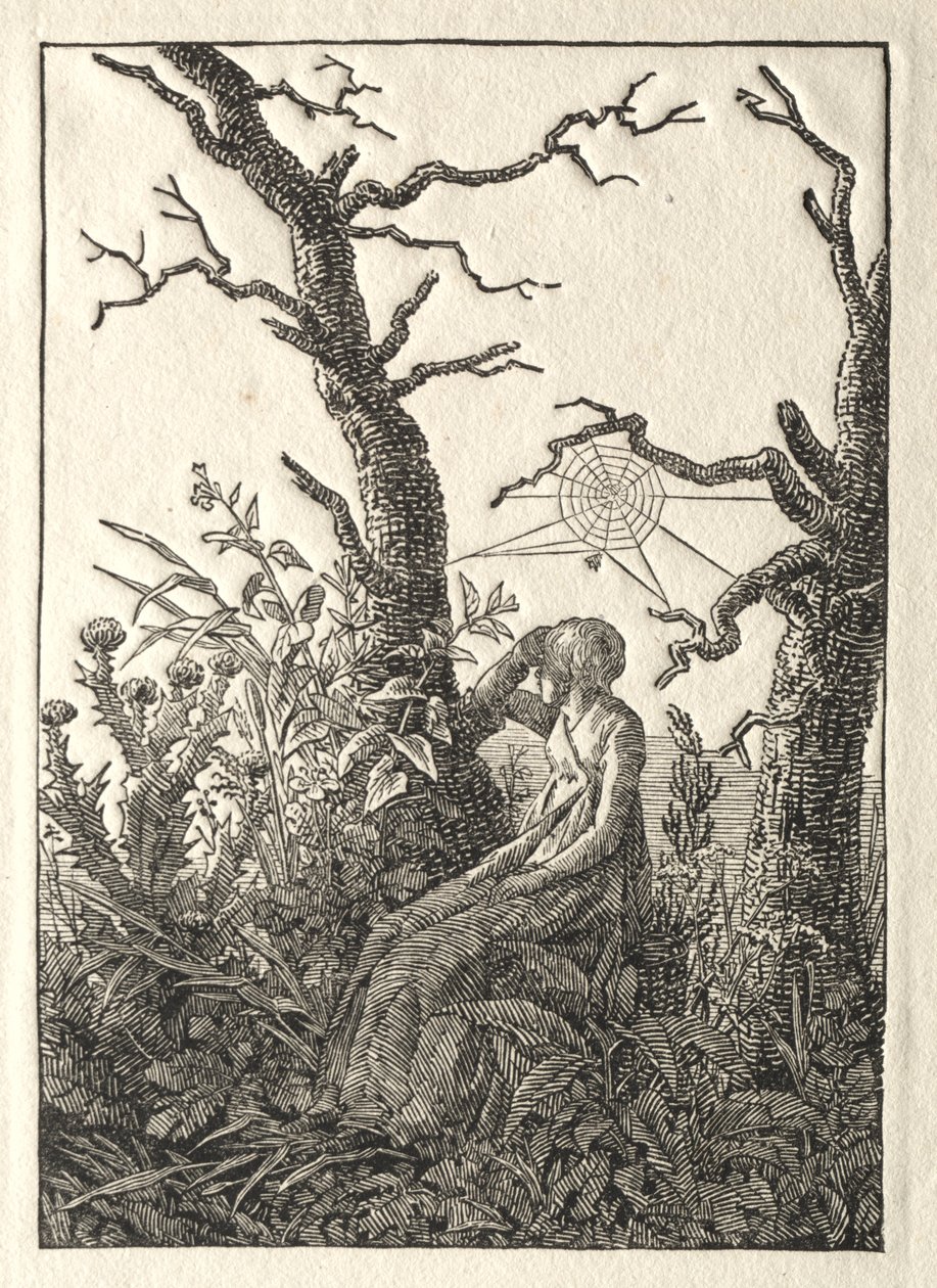 Die Frau mit dem Spinnennetz zwischen kahlen Bäumen von Caspar David Friedrich