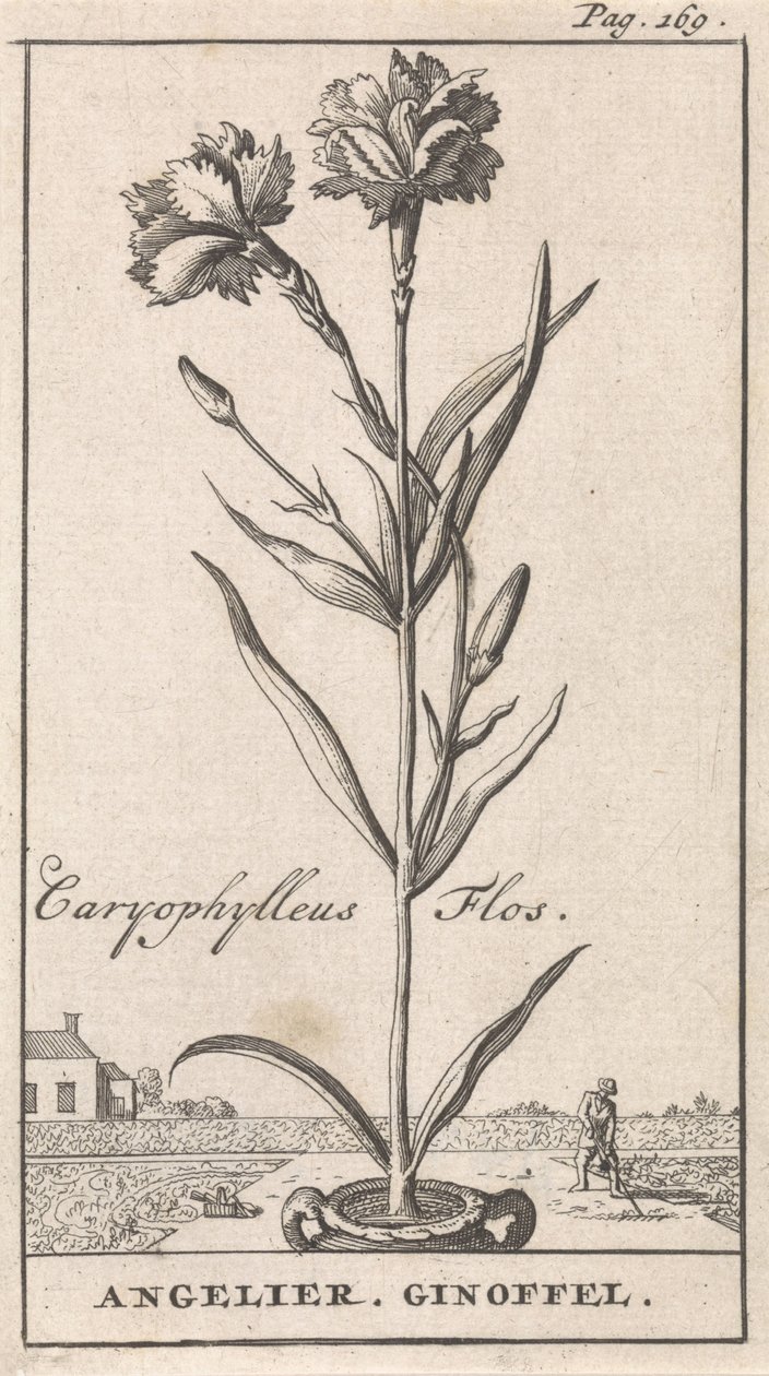 Titelblatt und acht Drucke mit Blumen von Caspar Luyken