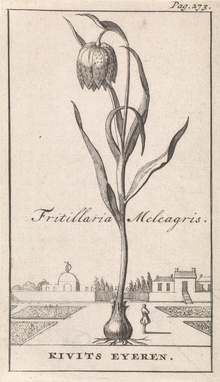 Titelblatt und acht Drucke mit Blumen von Caspar Luyken
