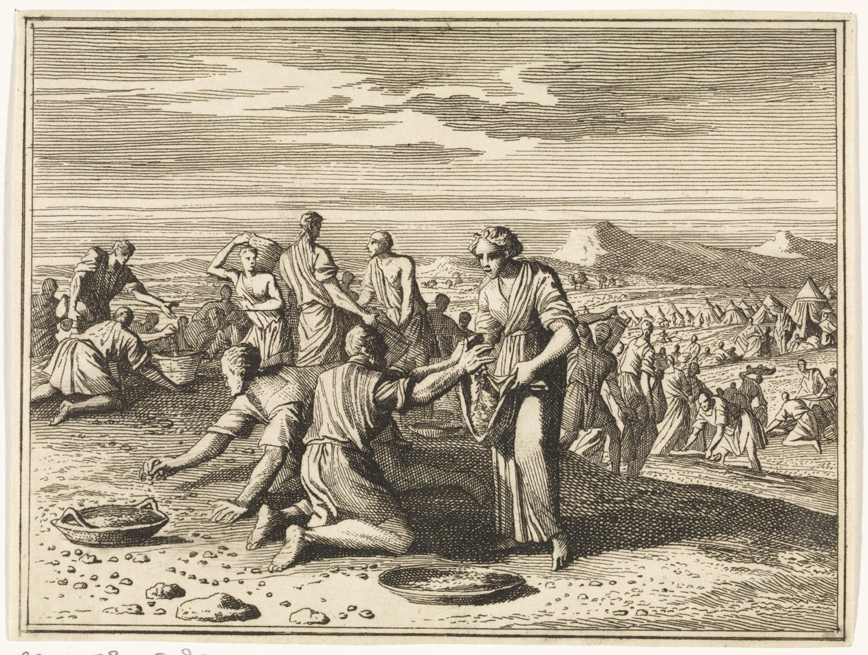 Sammeln des Manna in der Wüste von Caspar Luyken