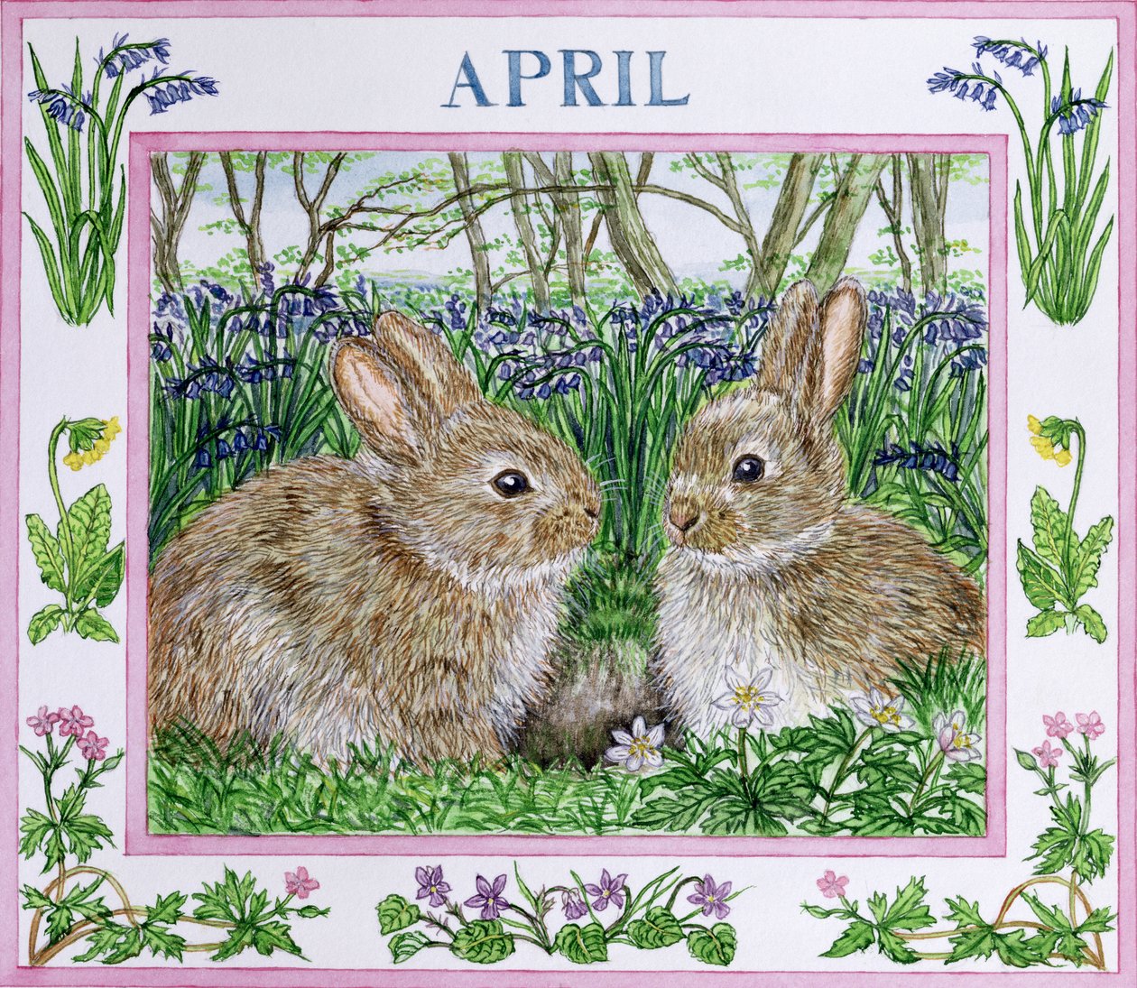 April von Catherine Bradbury