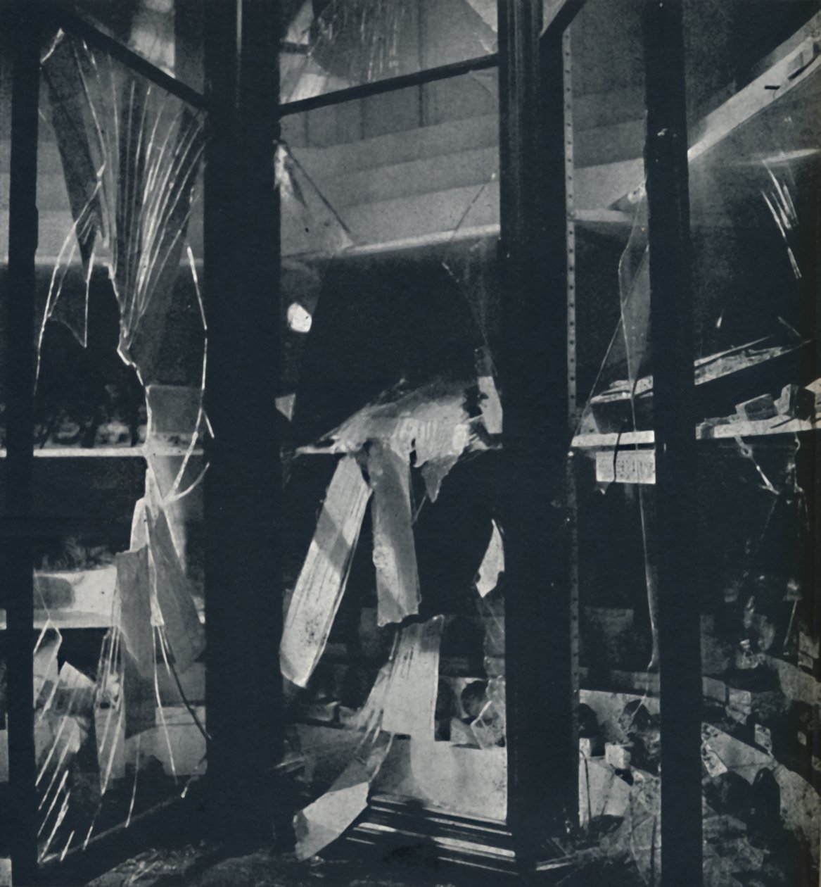 Schaukästen im Naturhistorischen Museum von Cecil Beaton
