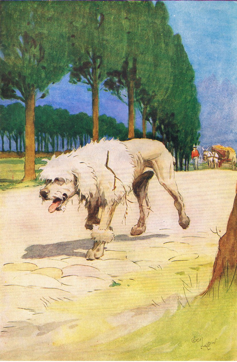 Moufflou (aus der Geschichte Moufflou), Illustration aus A Staircase of Stories, veröffentlicht von Thomas Nelson & Sons Ltd in den 1940er Jahren (Farblitho) von Cecil Charles Windsor Aldin
