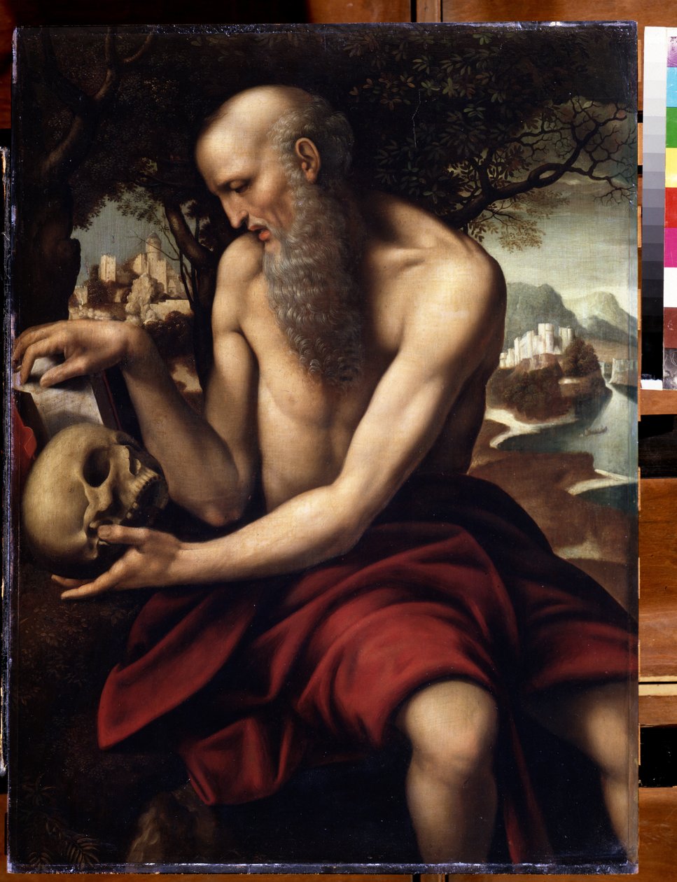 Darstellung des heiligen Hieronymus (Eitelkeit) von Cesare da Sesto