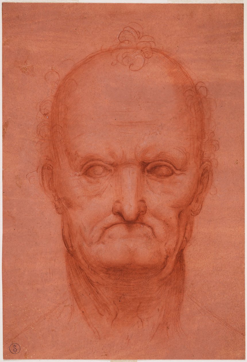 Kopf eines alten Mannes, ca. 1515 von Cesare da attr.to Sesto