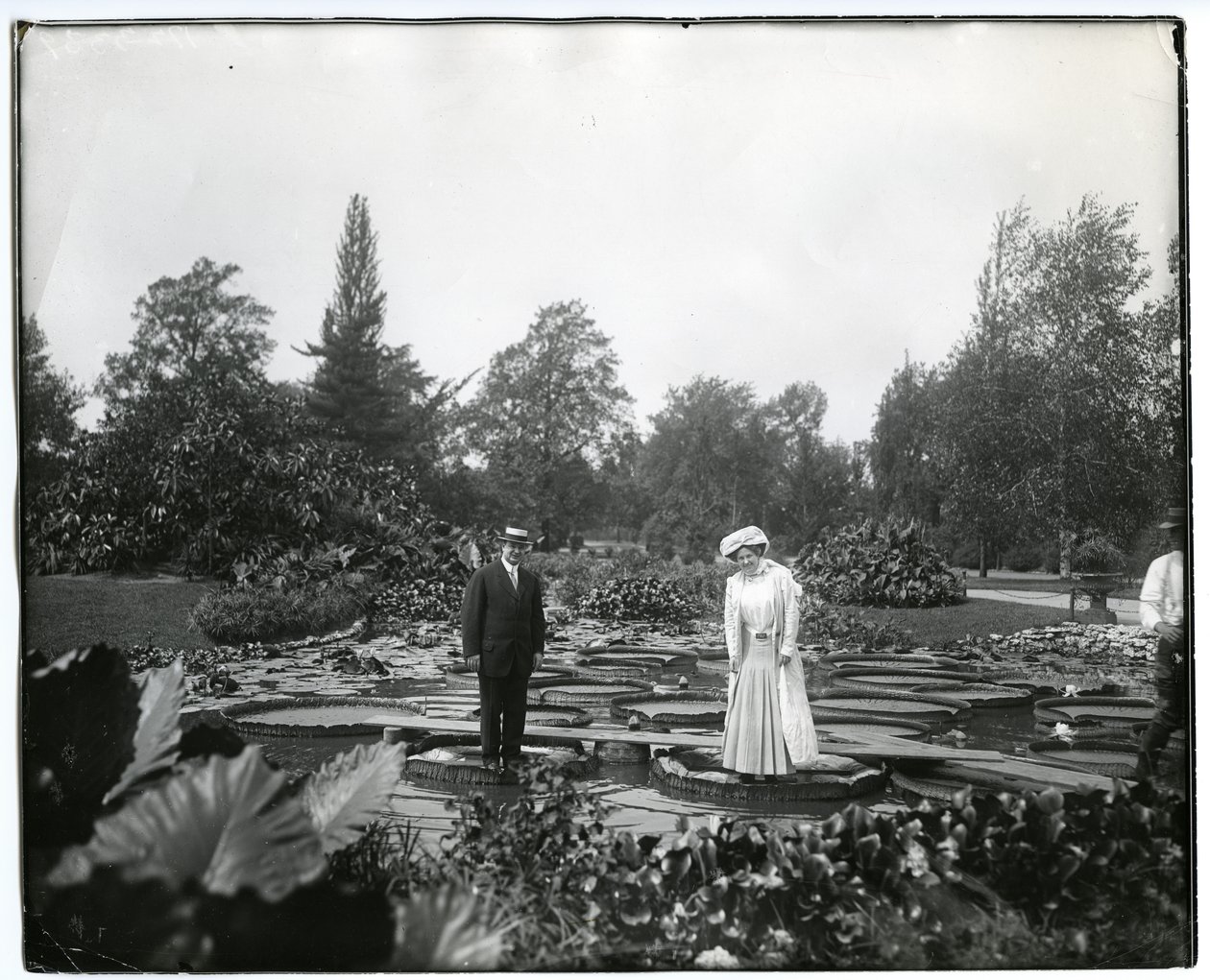 Horizontales Schwarz-Weiß-Foto eines Mannes und einer Frau, die auf riesigen Seerosenblättern im Seerosenteich im Tower Grove Park stehen von Charles Clement Holt
