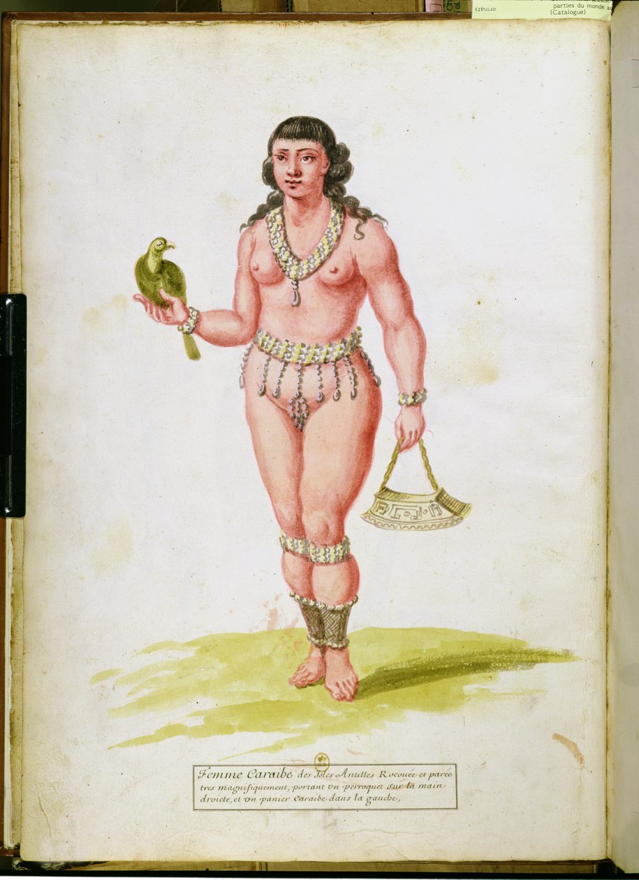 Einheimischer der Karibik mit einem Papagei, aus einem Manuskript über Pflanzen und Zivilisation in den Antillen, ca. 1686 von Charles Plumier
