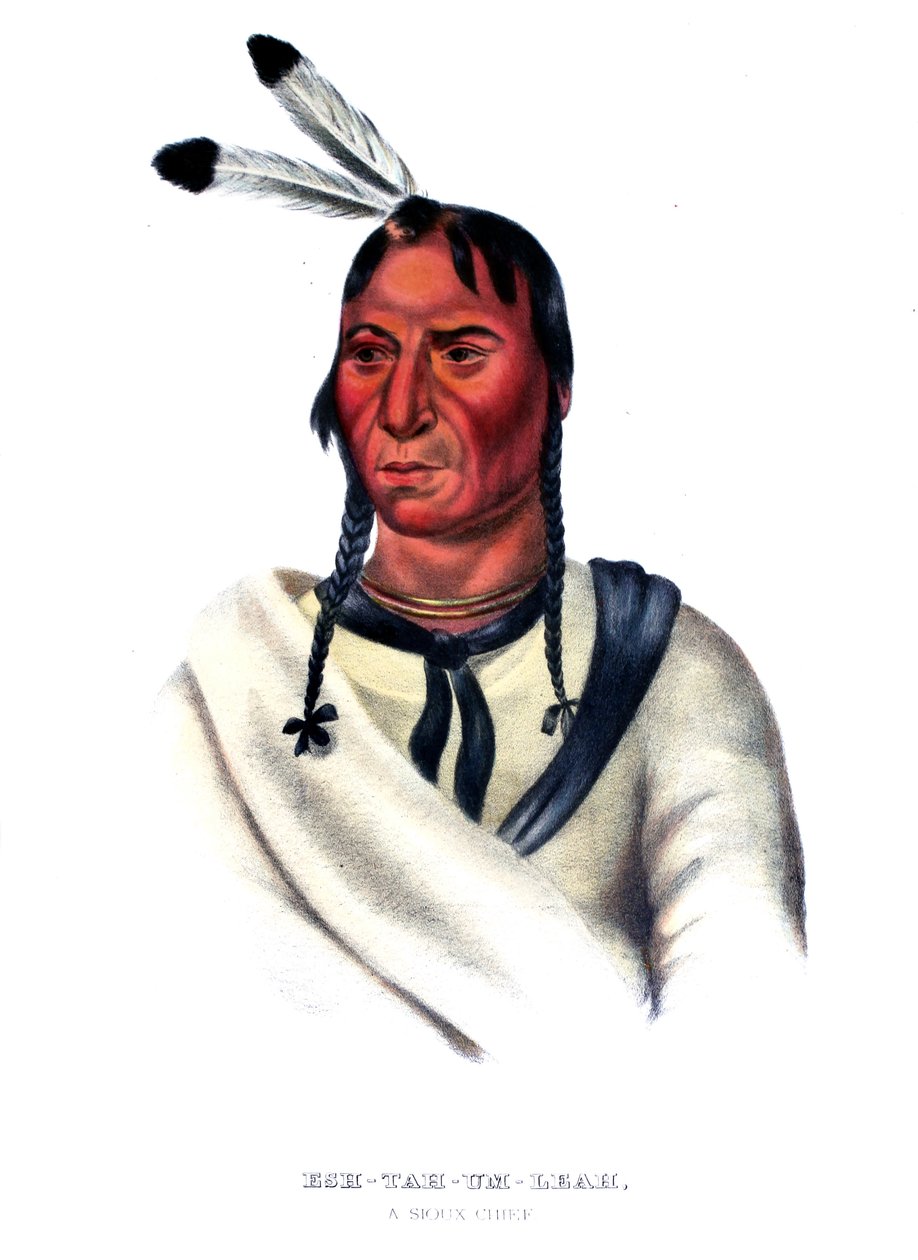 Eshtahumbah (Schläfrige Augen), ein Sioux-Häuptling von Charles Bird King