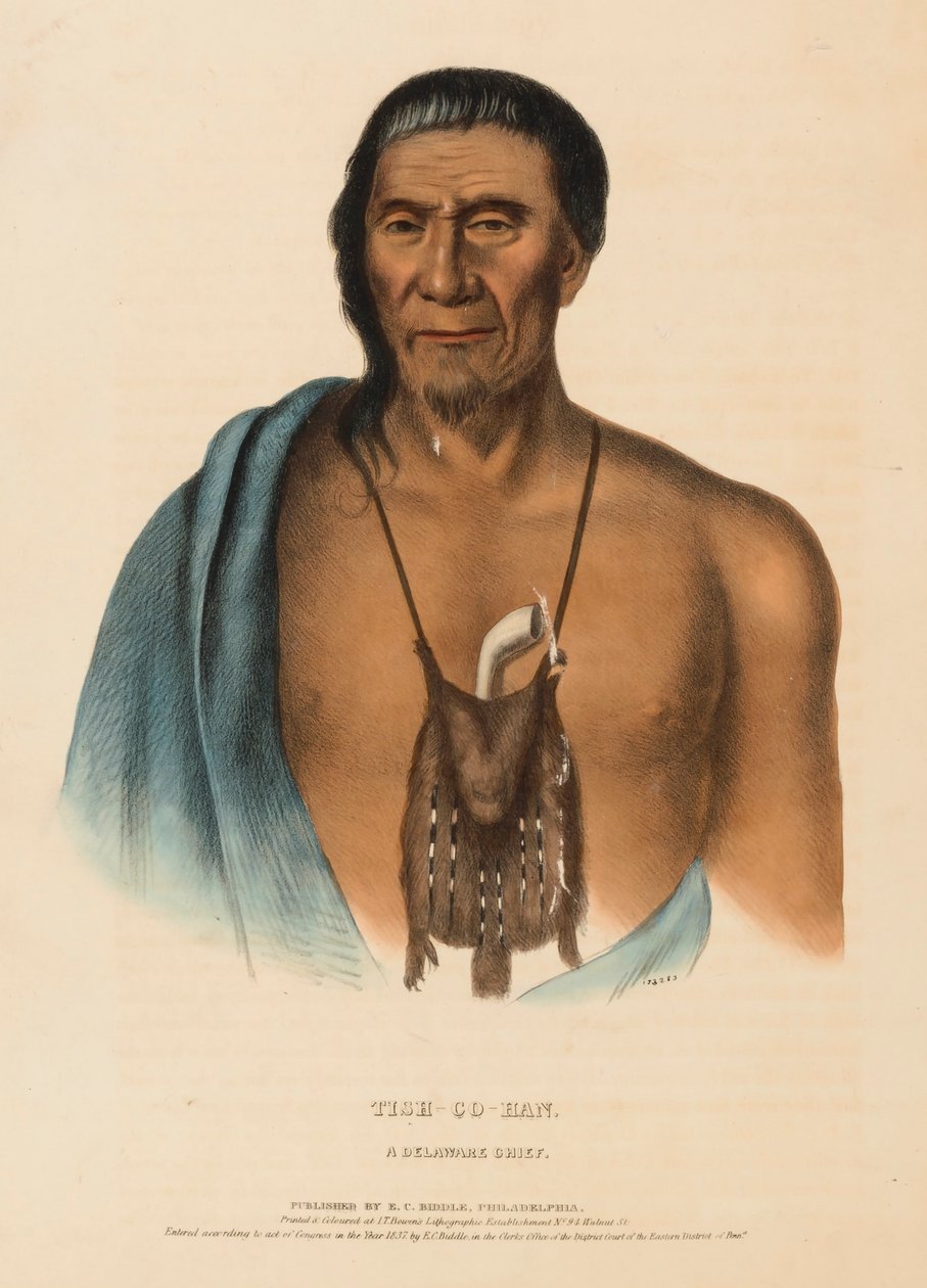 TISH-CO-HAN. EIN DELAWARE HÄUPTLING., aus Geschichte der Indianerstämme Nordamerikas von Charles Bird King