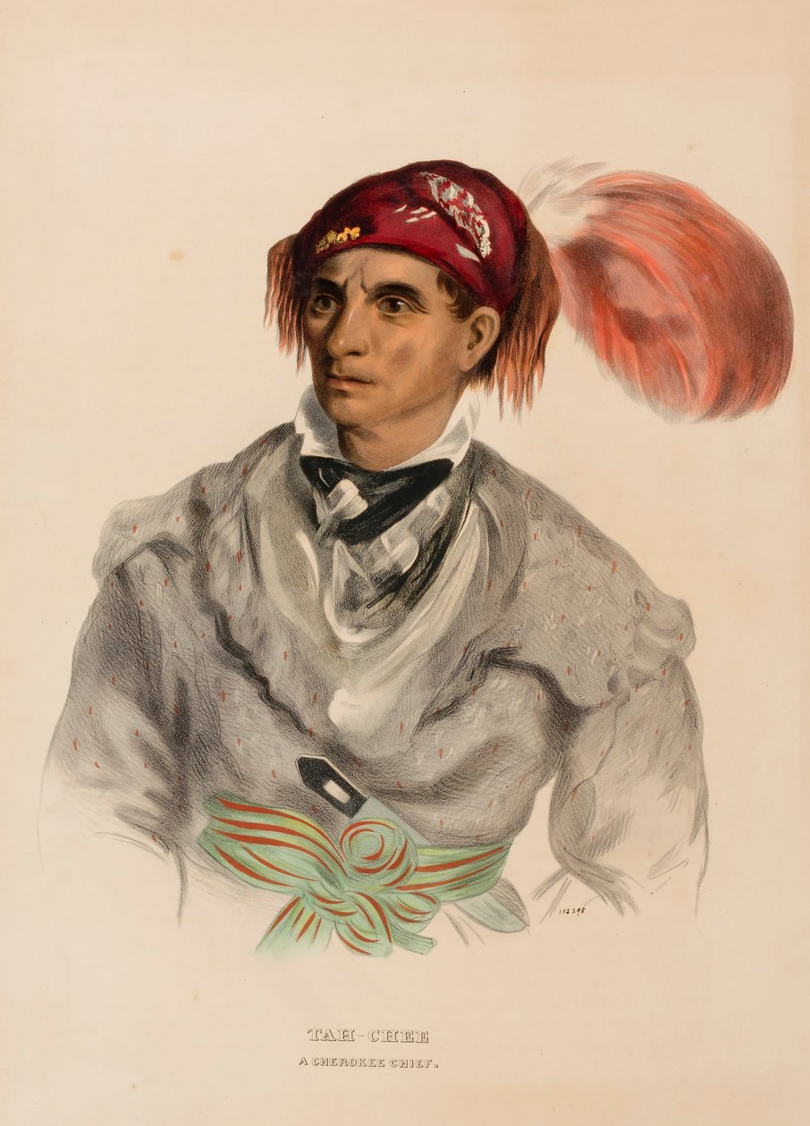 Tah-Chee (Dutch), ein Cherokee-Häuptling, aus der Geschichte der Indianerstämme Nordamerikas von Charles Bird King