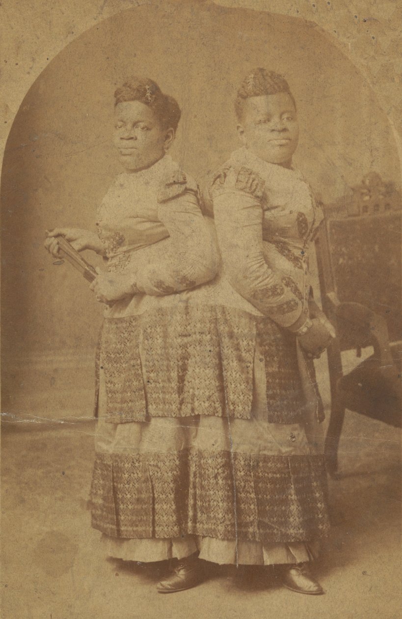Albuminabzug von Millie und Christine McCoy, 1880er -1890er von Charles Eisenmann