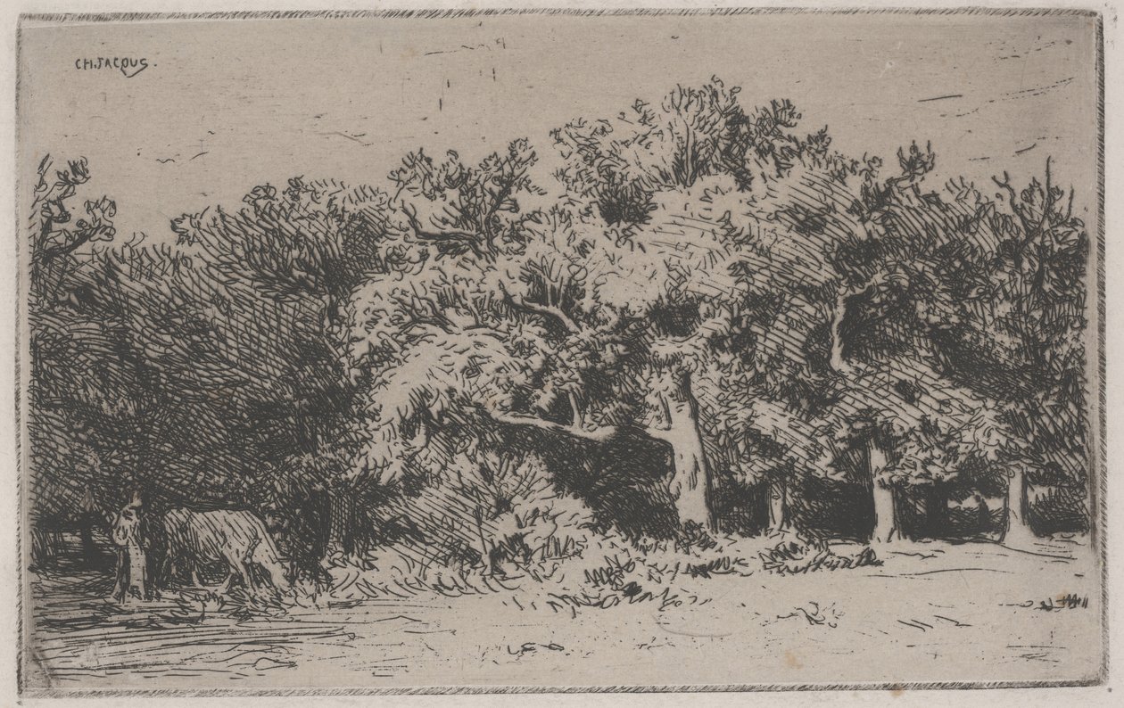 Eine Ecke des Waldes von Fontainebleau von Charles Emile Jacque