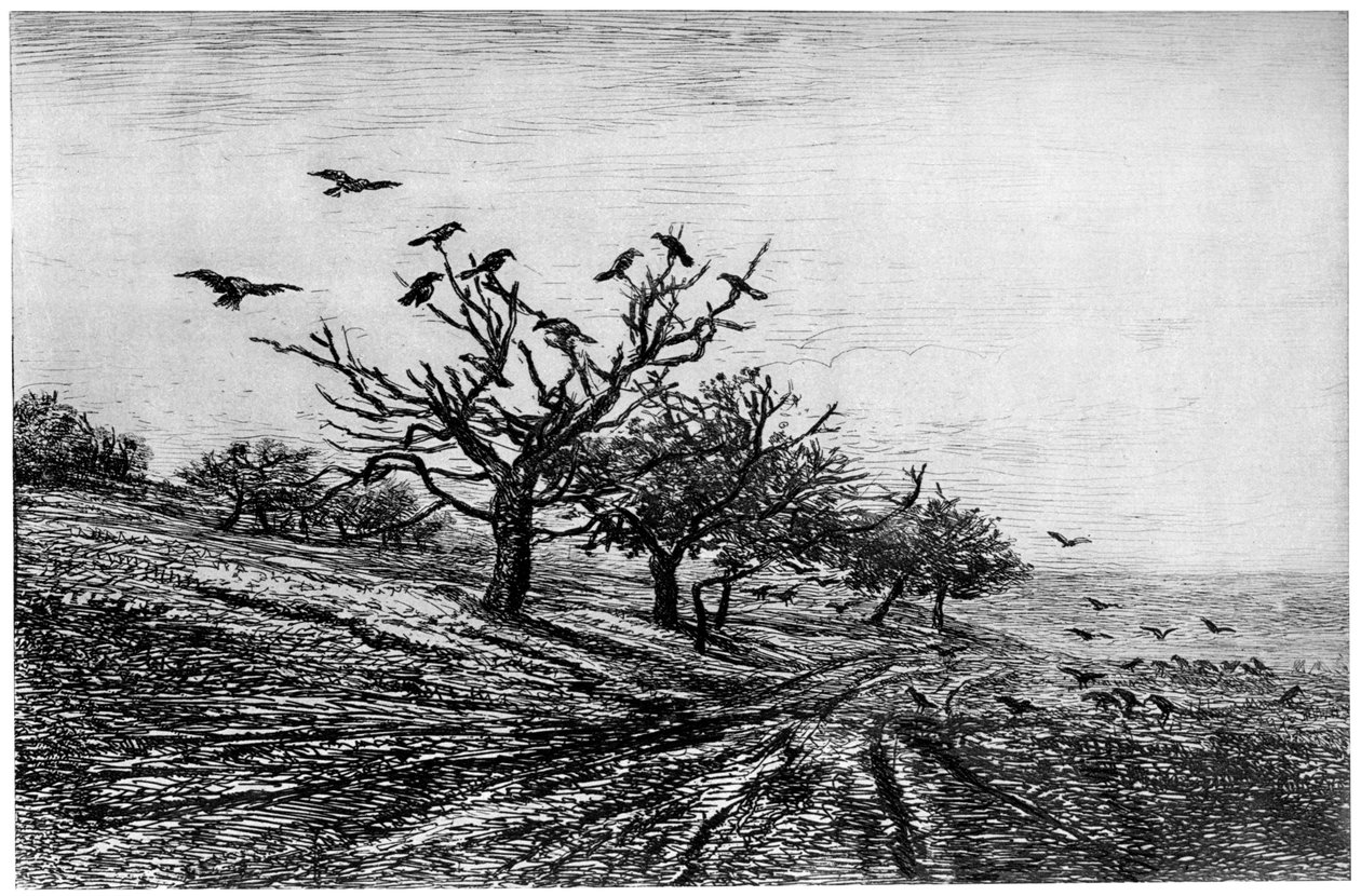 Arbre à Corbeaux, 1840-1875, 1924 von Charles Francois Daubigny