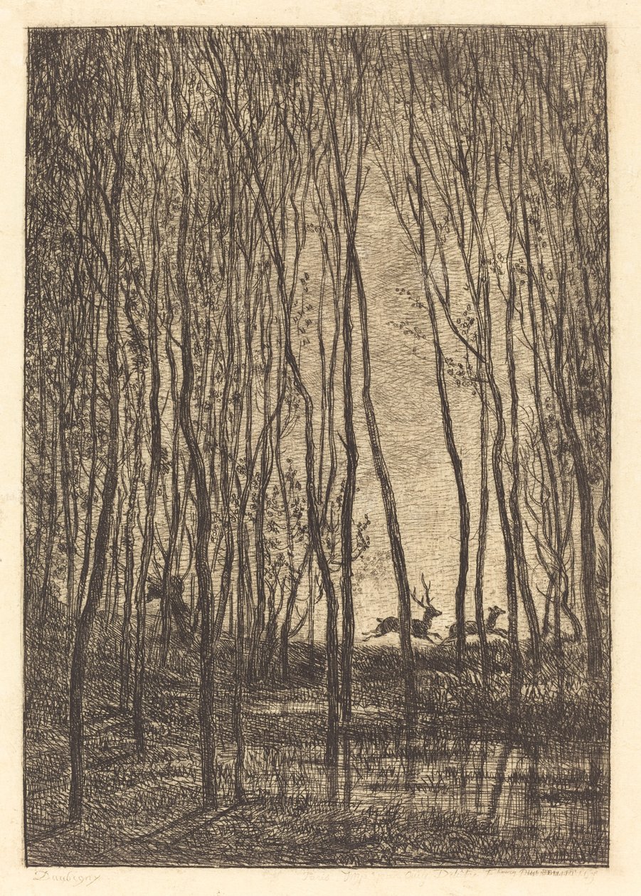 Hirsche im Wald (Les Cerfs sous bois) von Charles Francois Daubigny