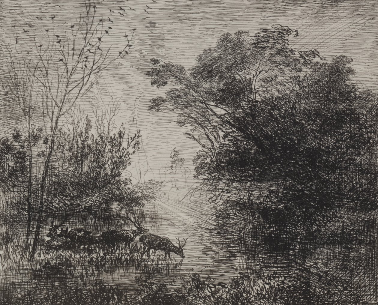 Hirsche von Charles Francois Daubigny