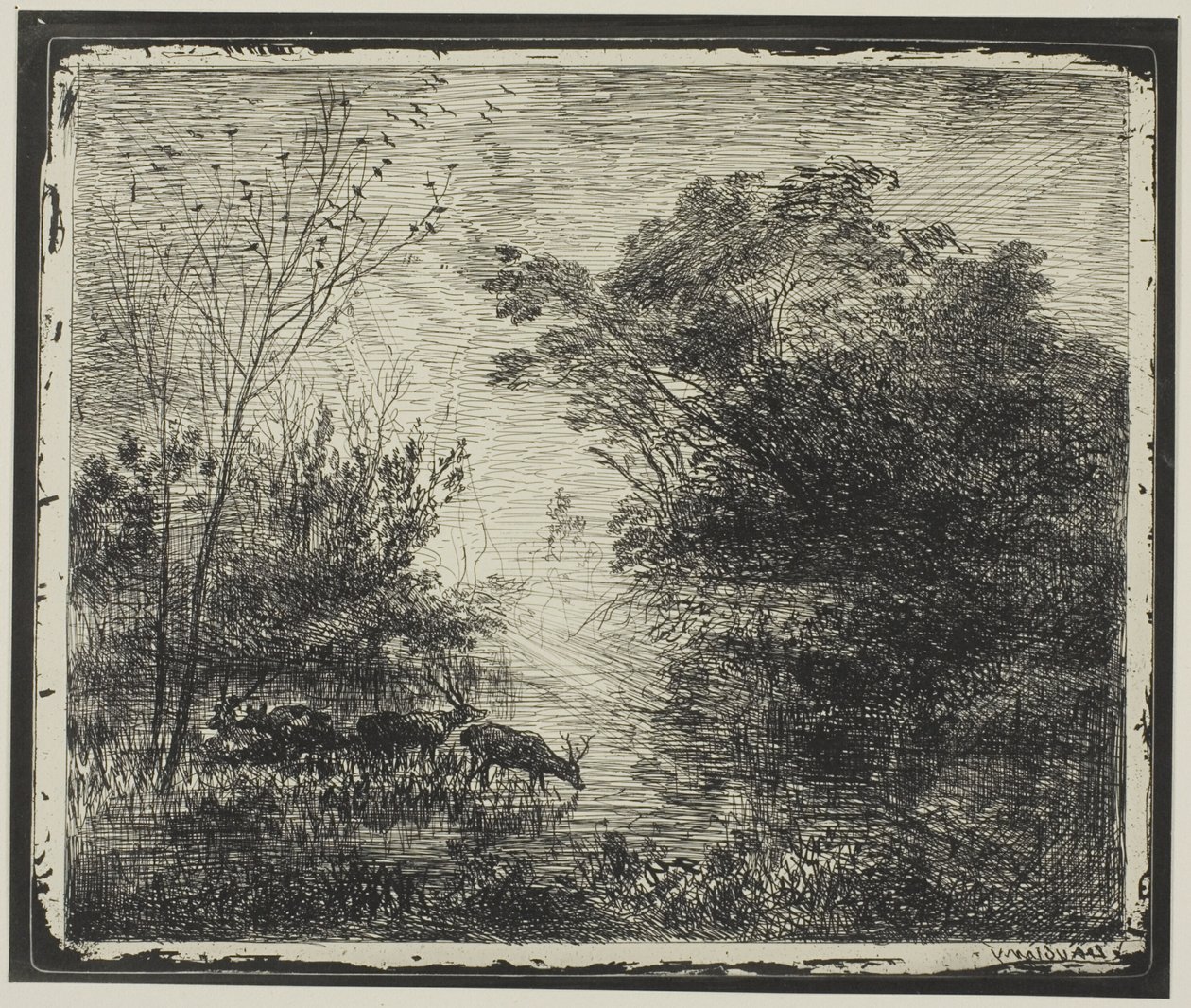 Hirsche von Charles Francois Daubigny