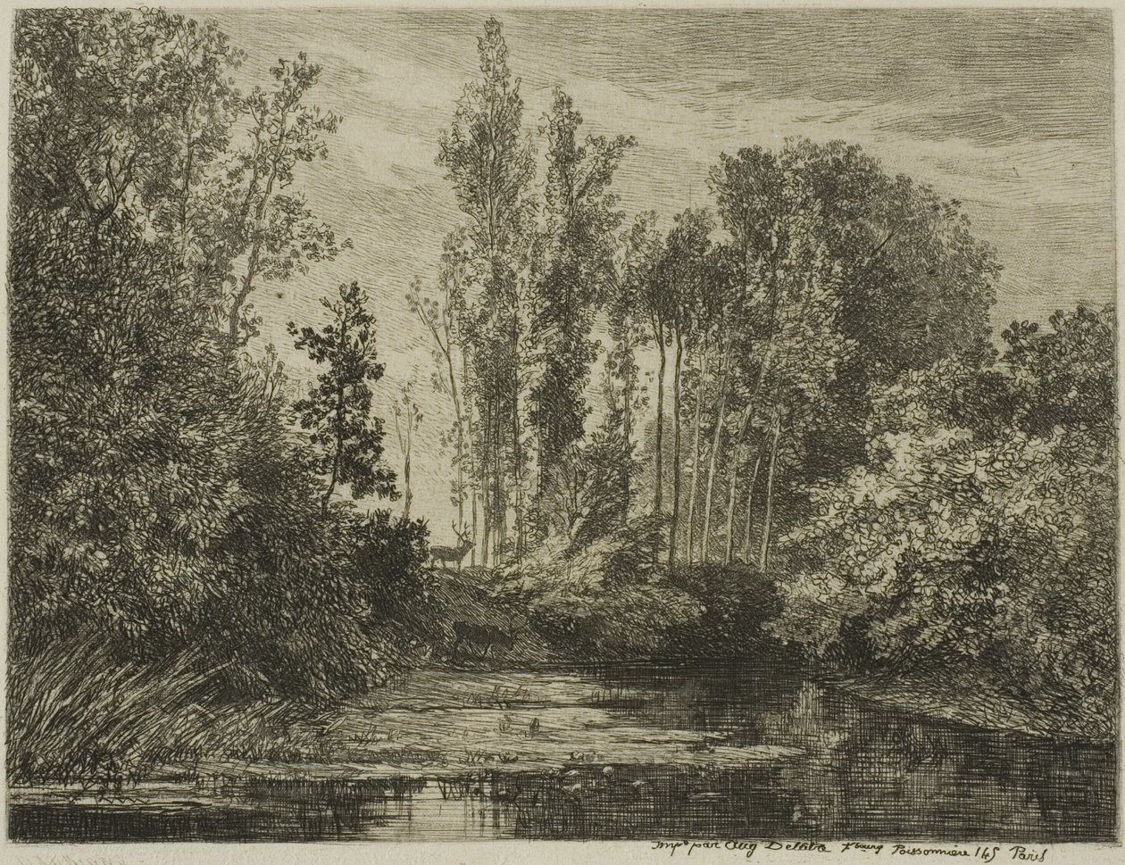 Hirsche am Wasserufer von Charles Francois Daubigny