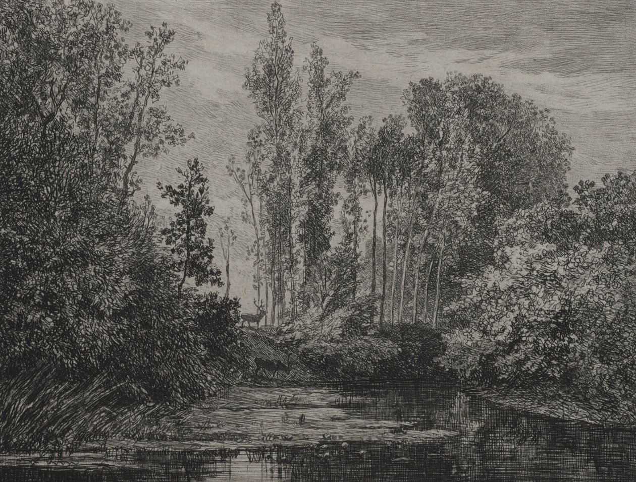 Hirsche am Wasser von Charles Francois Daubigny