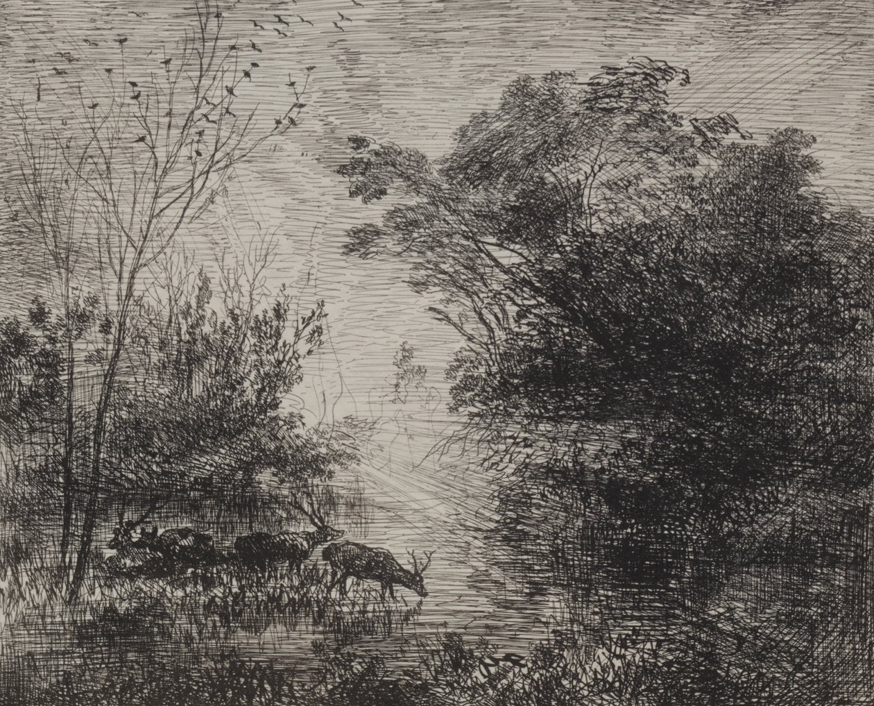 Hirsche, Originaldruck 1862, gedruckt 1921 von Charles Francois Daubigny