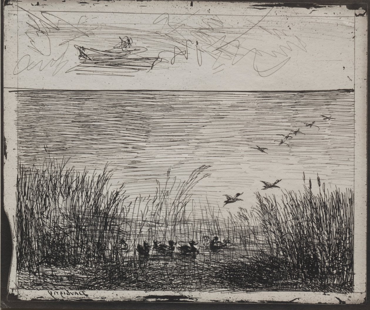 Sumpf mit Enten, Originaldruck 1862, gedruckt 1921 von Charles Francois Daubigny