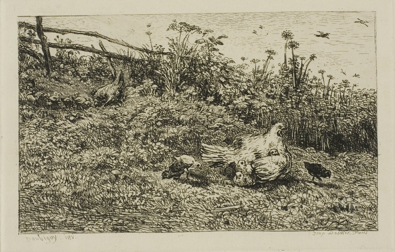 Die Henne und ihre Küken von Charles Francois Daubigny