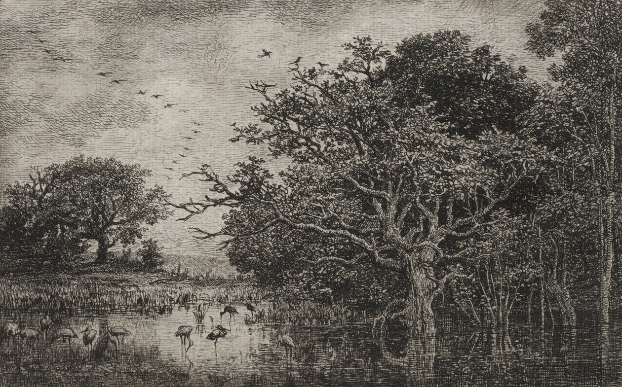 Das Moor mit Störchen, um 1851 von Charles Francois Daubigny
