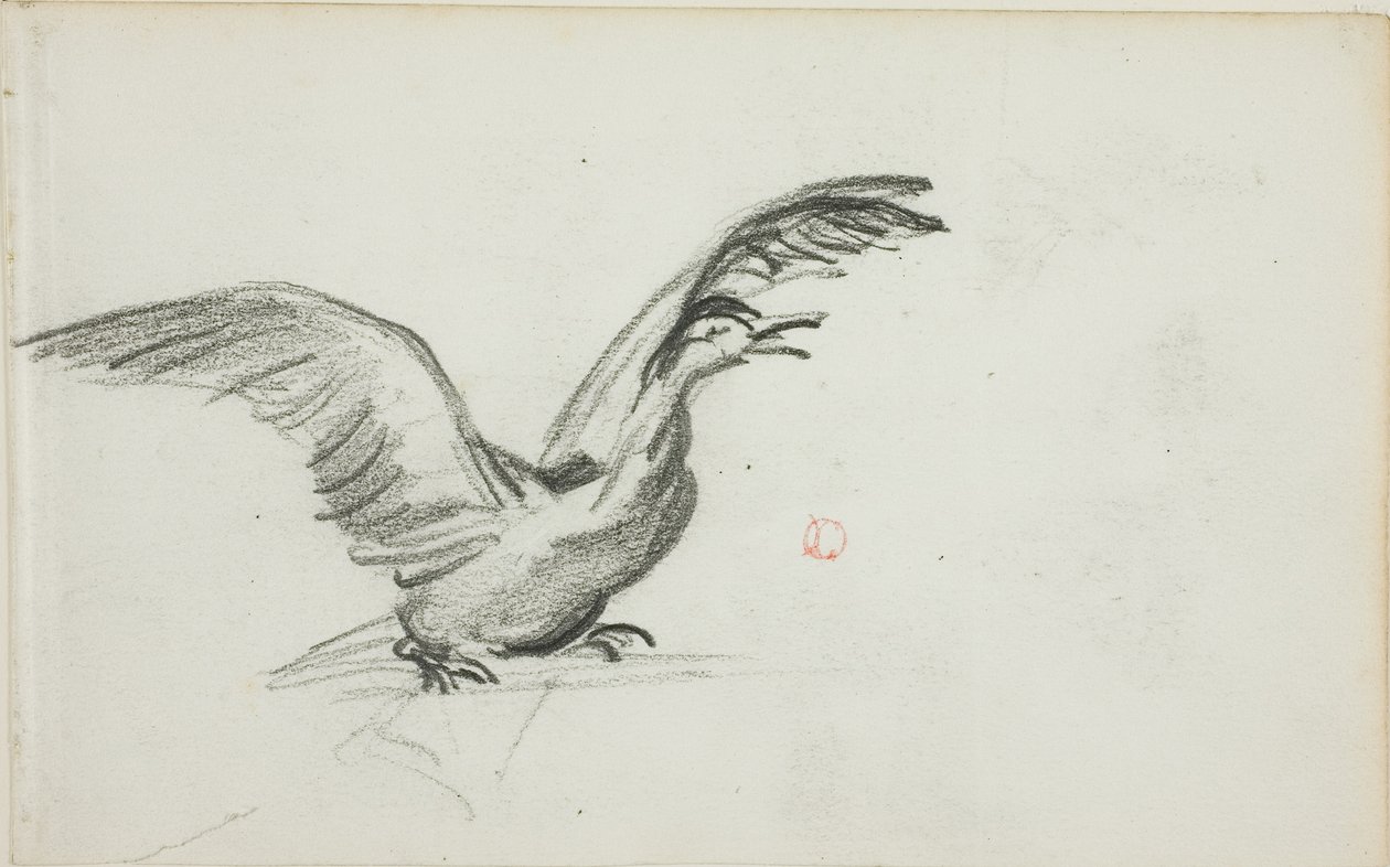 Wildes Duett (recto); Zwei stehende nackte weibliche Figuren in Nischen (verso) von Charles Francois Daubigny