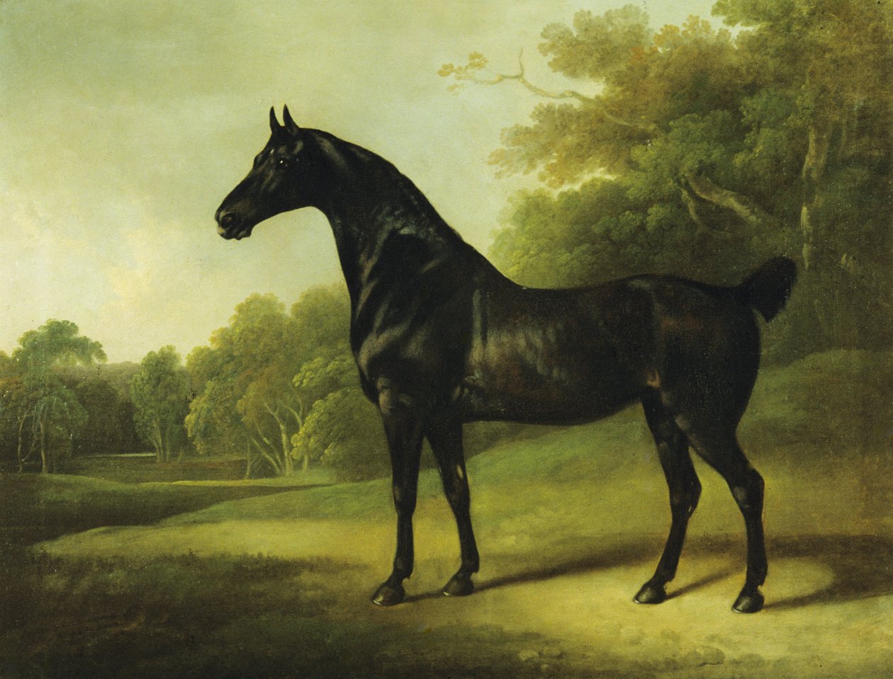 Ein Brauner in einer bewaldeten Landschaft von Charles Henry Schwanfelder