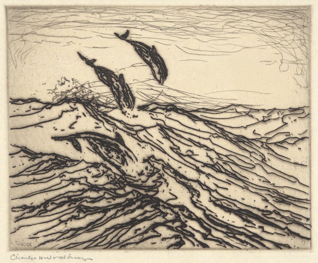Schweinswale von Charles Herbert Woodbury