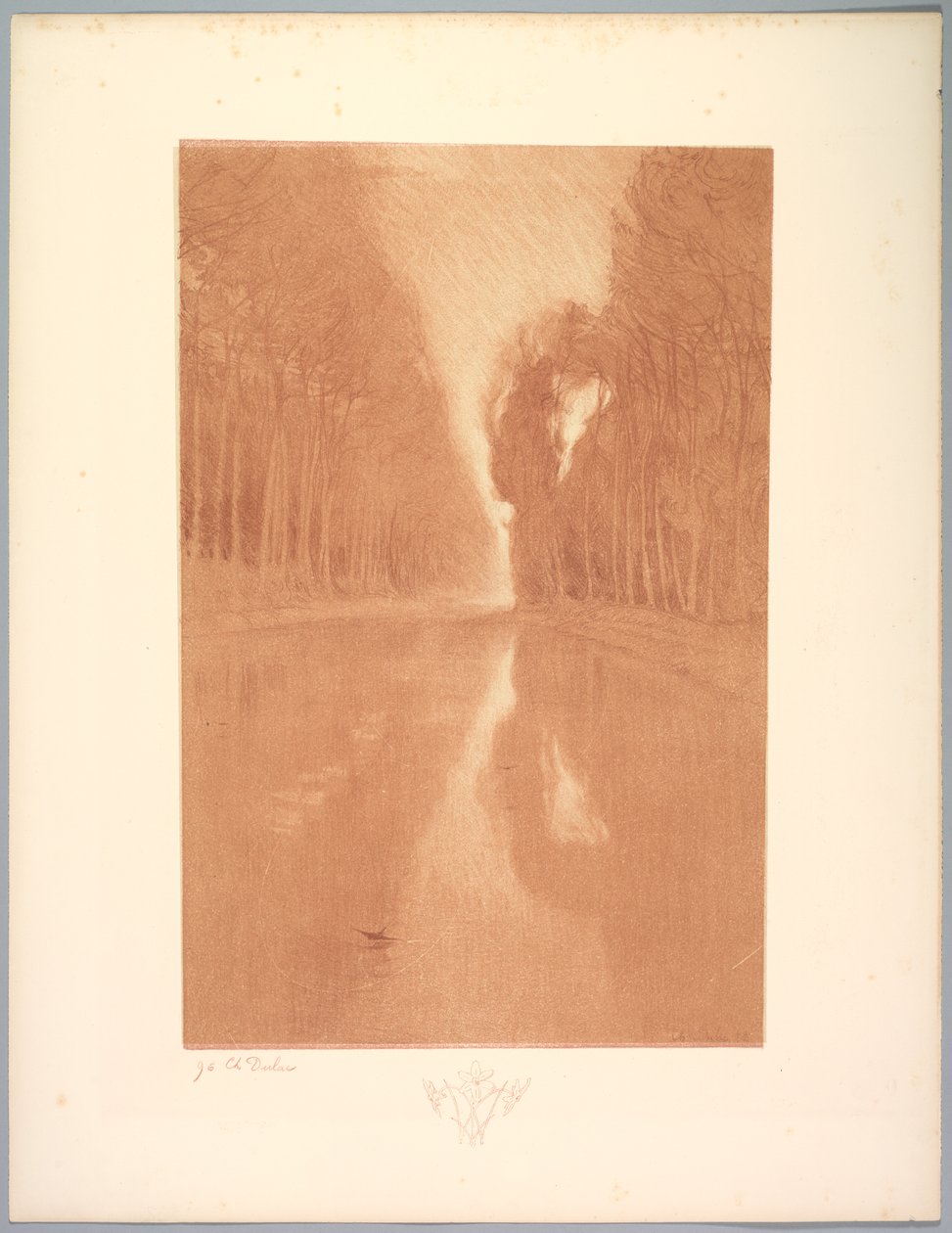 Suite de Paysages: Landschaft, Platte 2, Remarque, Sternblumen, 1892-1893 von Charles Marie Dulac