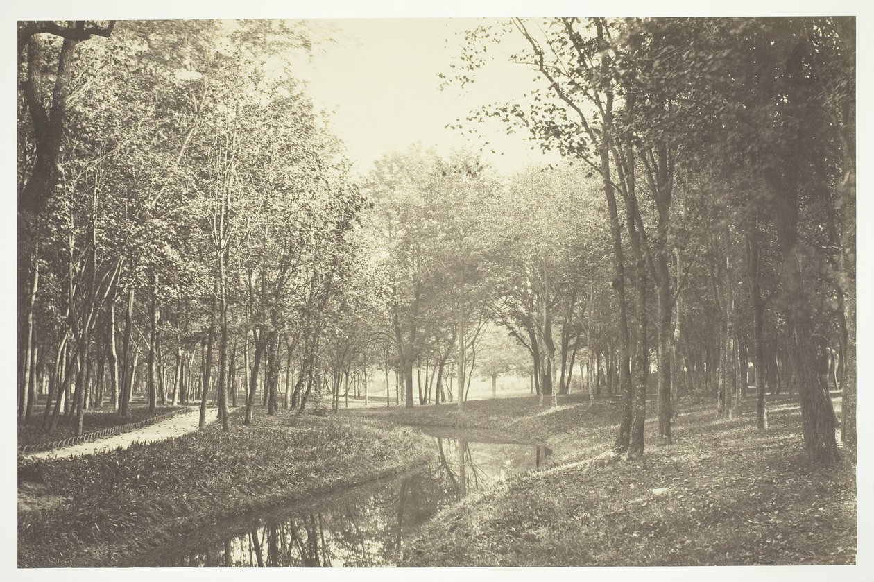 Ohne Titel [Bäume in der Nähe von Wasser im Bois de Boulogne, einem Park in Paris] von Charles Marville